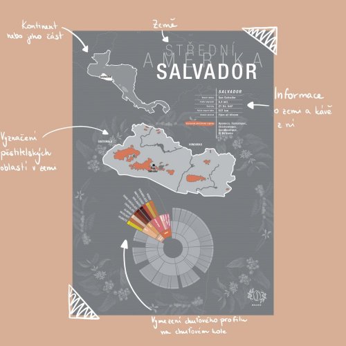 Plakát - Salvador