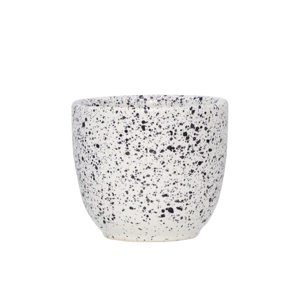 AOOMI Mess Mug 170 ml